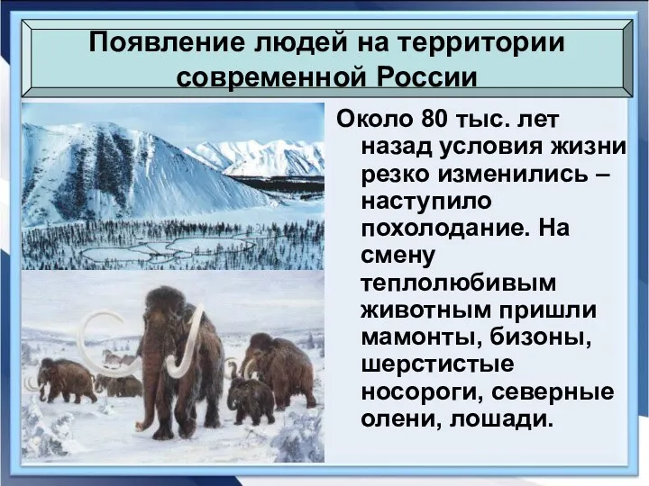 Около 80 тыс. лет назад условия жизни резко изменились – наступило похолодание. На