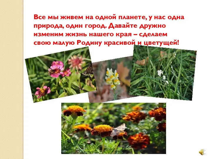 Все мы живем на одной планете, у нас одна природа,