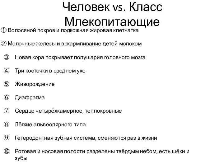 Человек vs. Класс Млекопитающие Волосяной покров и подкожная жировая клетчатка