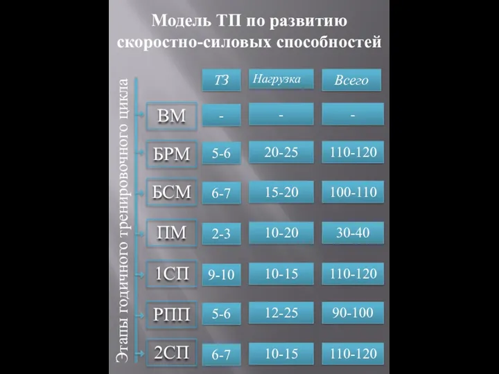 Этапы годичного тренировочного цикла БРМ БСМ ПМ 1СП РПП Модель