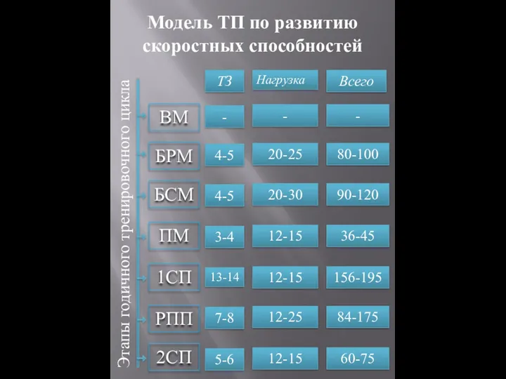 Этапы годичного тренировочного цикла БРМ БСМ ПМ 1СП РПП Модель