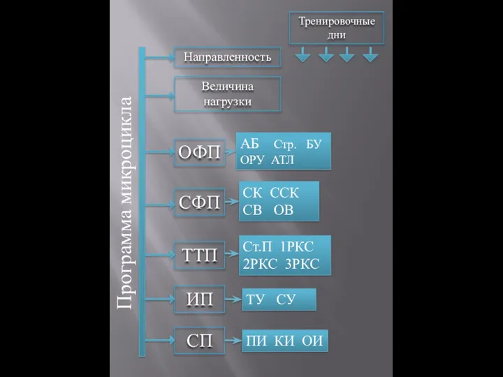 Программа микроцикла Тренировочные дни Направленность Величина нагрузки ОФП СФП ТТП