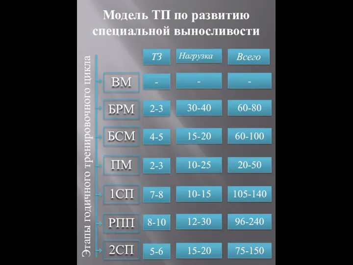 Этапы годичного тренировочного цикла БРМ БСМ ПМ 1СП РПП Модель