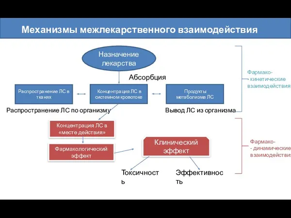 Механизмы межлекарственного взаимодействия Назначение лекарства Абсорбция Концентрация ЛС в системном