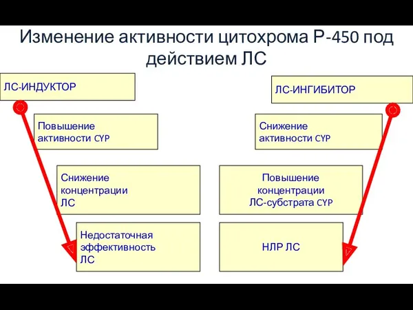 Изменение активности цитохрома Р-450 под действием ЛС ЛС-ИНДУКТОР ЛС-ИНГИБИТОР Повышение