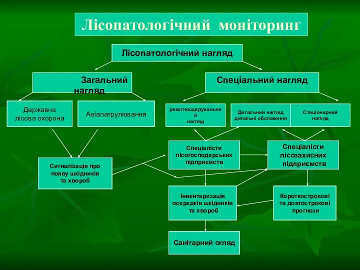 Загальний нагляд Лісопатологічний моніторинг Авіапатрулювання Лісопатологічний нагляд Державна лісова охорона