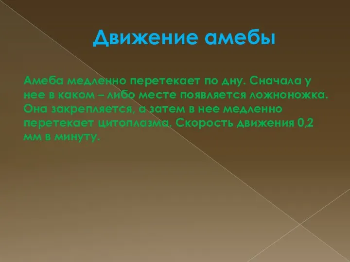 Движение амебы Амеба медленно перетекает по дну. Сначала у нее