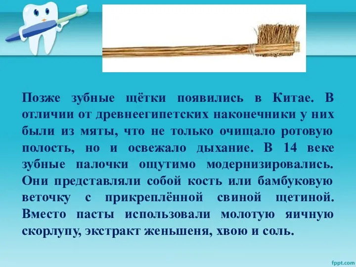 Позже зубные щётки появились в Китае. В отличии от древнеегипетских