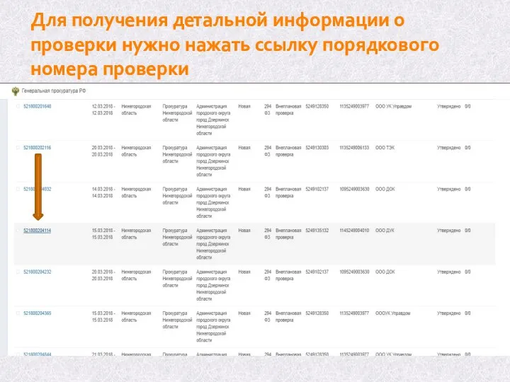 Для получения детальной информации о проверки нужно нажать ссылку порядкового номера проверки