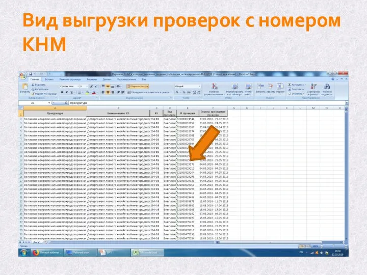 Вид выгрузки проверок с номером КНМ
