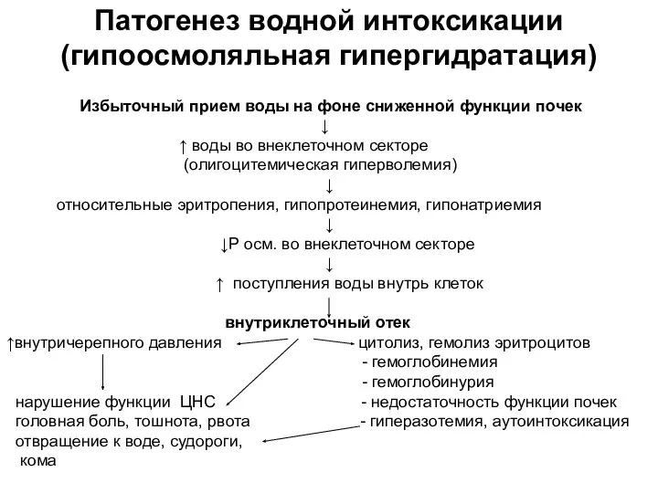 Патогенез водной интоксикации (гипоосмоляльная гипергидратация) Избыточный прием воды на фоне