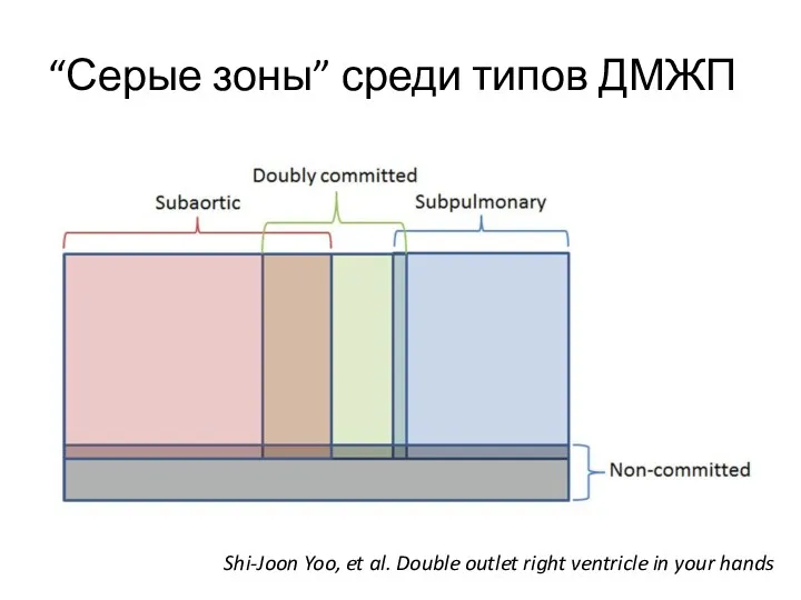 “Серые зоны” среди типов ДМЖП Shi-Joon Yoo, et al. Double outlet right ventricle in your hands