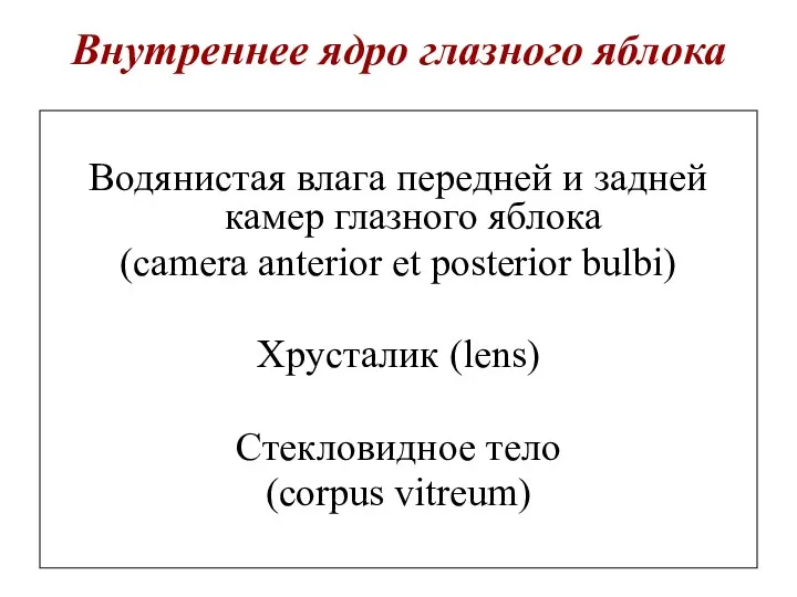 Внутреннее ядро глазного яблока Водянистая влага передней и задней камер