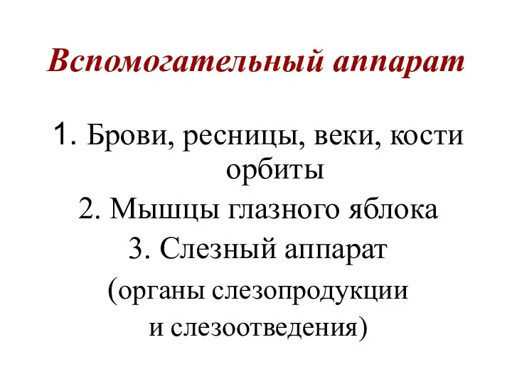 Вспомогательный аппарат 1. Брови, ресницы, веки, кости орбиты 2. Мышцы глазного яблока 3.