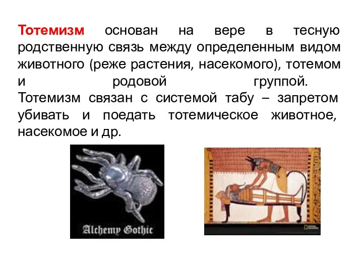 Тотемизм основан на вере в тесную родственную связь между определенным