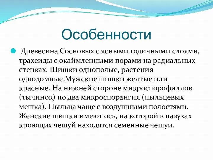 Особенности Древесина Сосновых с ясными годичными слоями, трахеиды с окаймленными