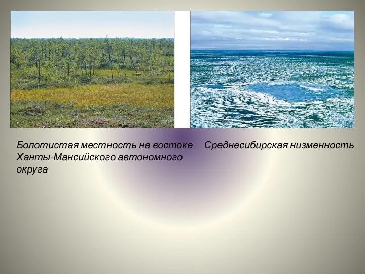 Болотистая местность на востоке Среднесибирская низменность Ханты-Мансийского автономного округа