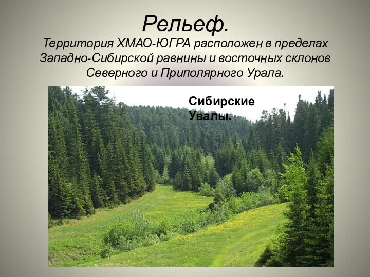 Рельеф. Территория ХМАО-ЮГРА расположен в пределах Западно-Сибирской равнины и восточных