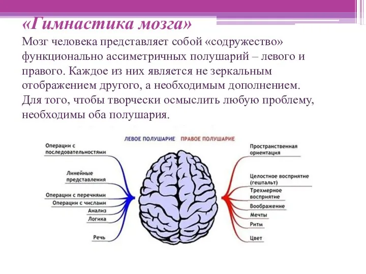 «Гимнастика мозга» Мозг человека представляет собой «содружество» функционально ассиметричных полушарий – левого и
