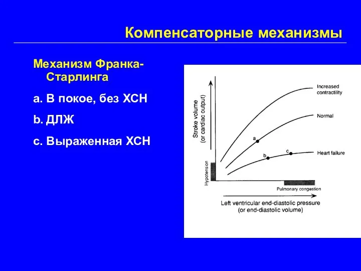 Компенсаторные механизмы Механизм Франка-Старлинга a. В покое, без ХСН b. ДЛЖ c. Выраженная ХСН