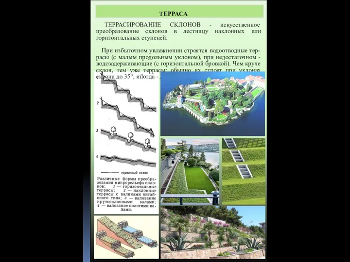 ТЕРРАСА ТЕРРАСИРОВАНИЕ СКЛОНОВ - искусственное преобразование склонов в лестницу наклонных