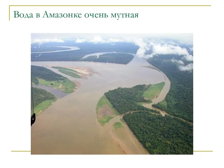Вода в Амазонке очень мутная