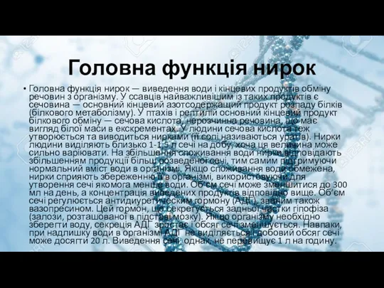 Головна функція нирок Головна функція нирок — виведення води і