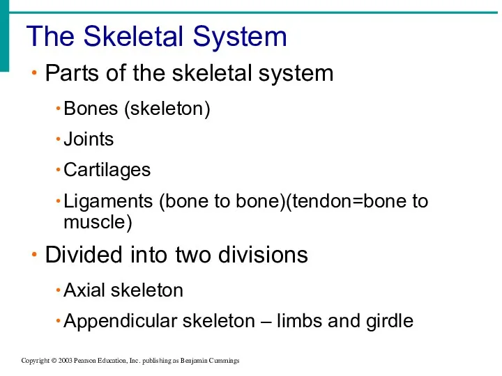 The Skeletal System Copyright © 2003 Pearson Education, Inc. publishing