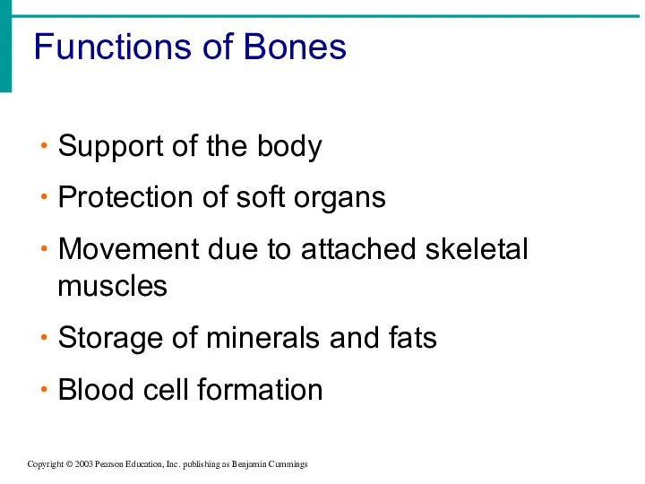 Functions of Bones Copyright © 2003 Pearson Education, Inc. publishing