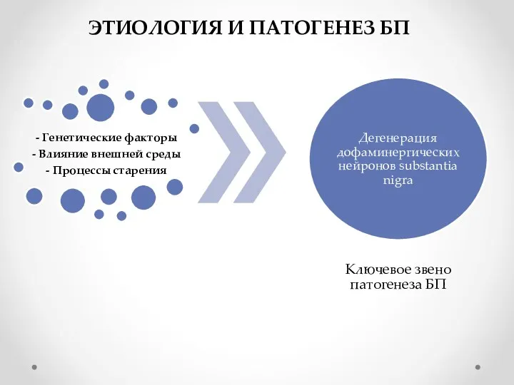 ЭТИОЛОГИЯ И ПАТОГЕНЕЗ БП