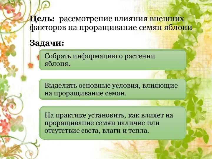 Цель: рассмотрение влияния внешних факторов на проращивание семян яблони Задачи: