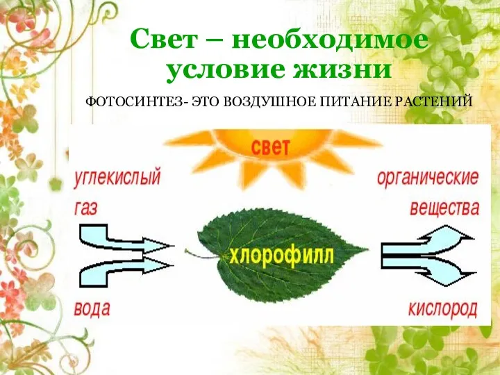 Свет – необходимое условие жизни ФОТОСИНТЕЗ- ЭТО ВОЗДУШНОЕ ПИТАНИЕ РАСТЕНИЙ