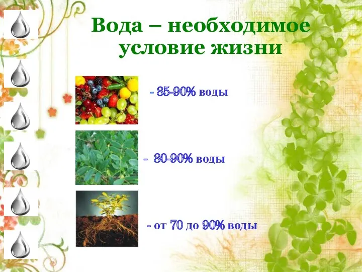 Вода – необходимое условие жизни - 85-90% воды - 80-90%