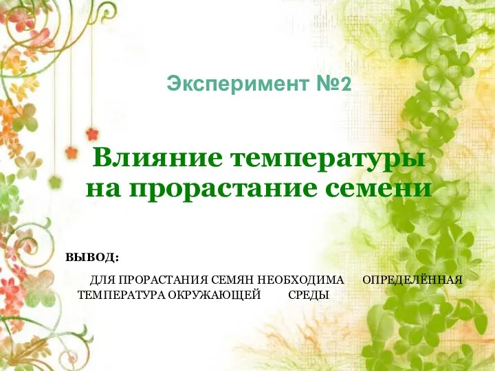 Эксперимент №2 Влияние температуры на прорастание семени ВЫВОД: ДЛЯ ПРОРАСТАНИЯ СЕМЯН НЕОБХОДИМА ОПРЕДЕЛЁННАЯ ТЕМПЕРАТУРА ОКРУЖАЮЩЕЙ СРЕДЫ