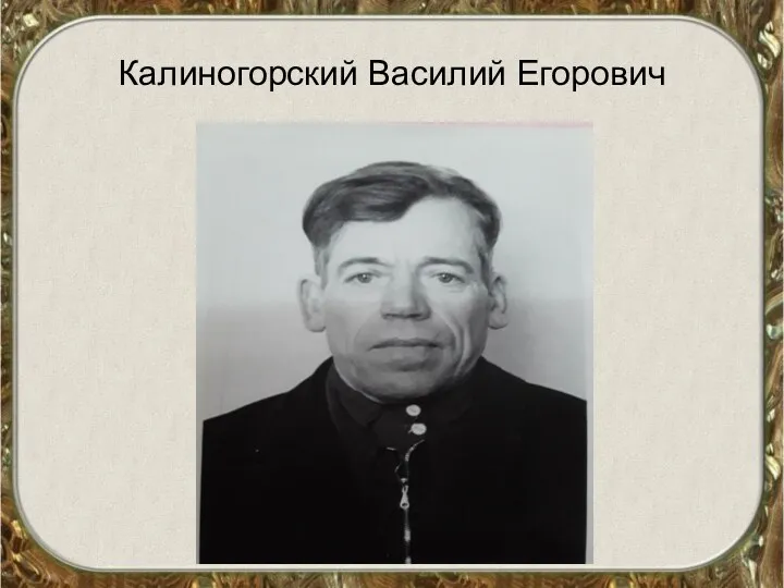 Калиногорский Василий Егорович