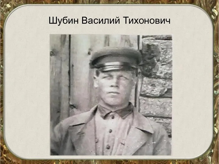 Шубин Василий Тихонович