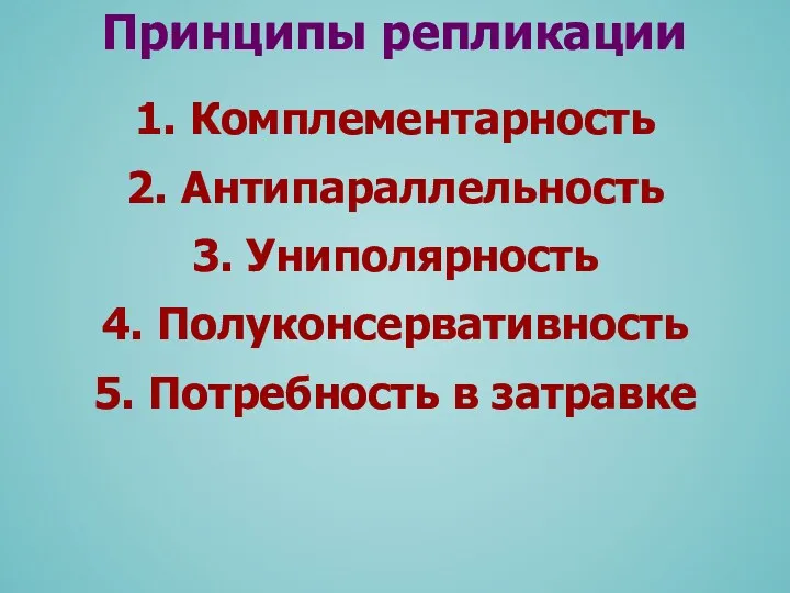 1. Комплементарность 2. Антипараллельность 3. Униполярность 4. Полуконсервативность 5. Потребность в затравке Принципы репликации