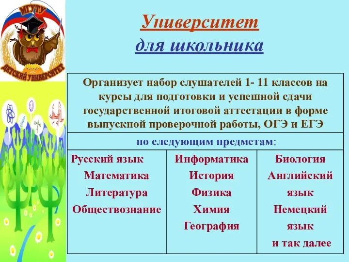 Университет для школьника