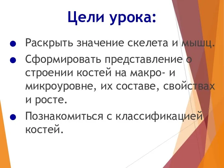 Цели урока: Раскрыть значение скелета и мышц. Сформировать представление о