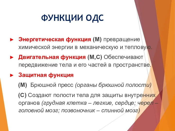 ФУНКЦИИ ОДС Энергетическая функция (М) превращение химической энергии в механическую