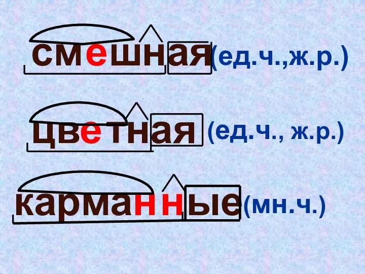 шная тная ые см цв карман е е н (ед.ч.,ж.р.) (ед.ч., ж.р.) (мн.ч.)