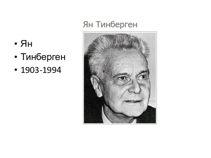 Ян Тинберген 1903-1994