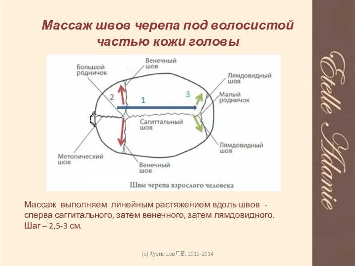 Массаж швов черепа под волосистой частью кожи головы (с) Кузнецов