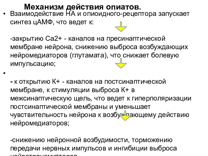 Механизм действия опиатов. Взаимодействие НА и опиоидного-рецептора запускает синтез цАМФ,