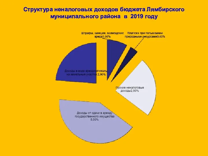 Структура неналоговых доходов бюджета Лямбирского муниципального района в 2019 году