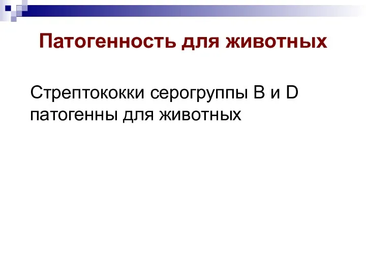 Патогенность для животных Стрептококки серогруппы B и D патогенны для животных