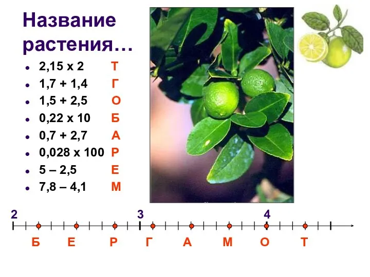 Название растения… 2,15 х 2 Т 1,7 + 1,4 Г