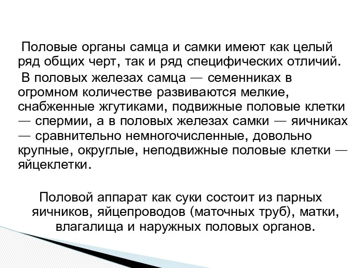 Половые органы самца и самки имеют как целый ряд общих черт, так и