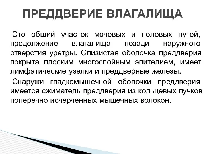 Это общий участок мочевых и половых путей, продолжение влагалища позади