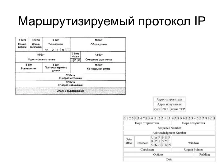 Маршрутизируемый протокол IP